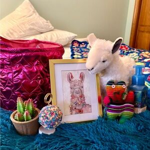 New Llama Themed Colorful Room Decor🦙💕